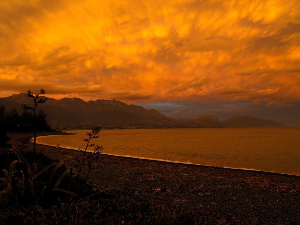 The White Morph - Heritage Collection Kaikoura Exterior photo